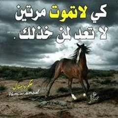 بحر العجائب