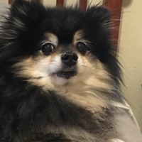 子供じゃないもん17 By Mrdude