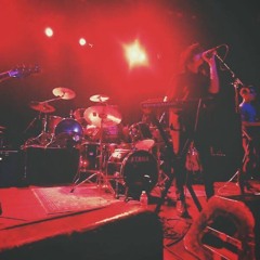 The Plasmids (Official)