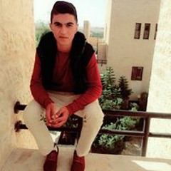SLooM