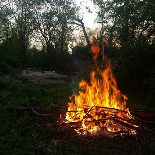 I love this bar - Toby Keith