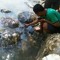 Anggra Saputra