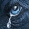 Crying Elephant