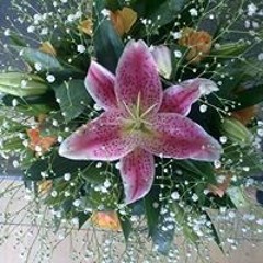 User 503570616