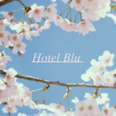 HOTEL BLU