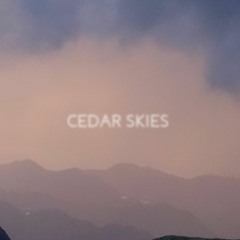 Cedar Skies