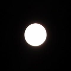 fdi510