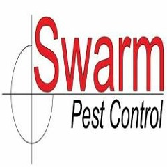 Swarm Pest Control Brisbane