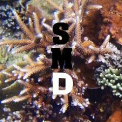 SynthMasterDeluxe