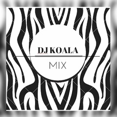 DJ KOALA