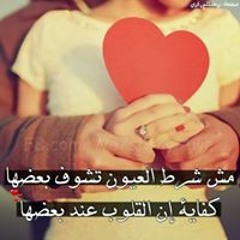 فارس وياسين روحى