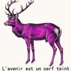 Va Bene