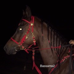Bassams2