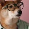 dog-li