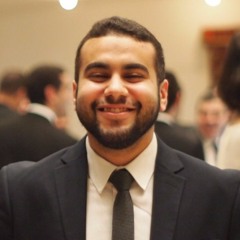 Amr Tarek Mahmoud