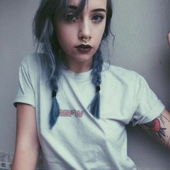 Kitten
