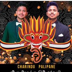 Charindu  Palipane
