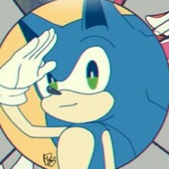 Sonic the hedgehog
