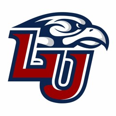 LFSN Audio