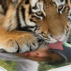 Lãng Tu Phiêu Bat