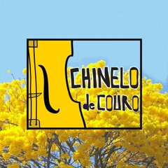 Chinelo de Couro