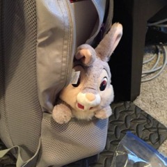 SeungWon Thomas Yoon