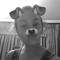 Nicole Fensham