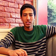 Ahmed Hani