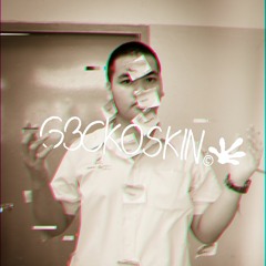 G3ckoSkin