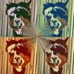 Distorted Lama