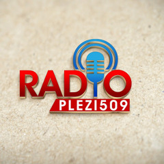 TDOU RADIO PLEZI509
