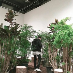 edyxv