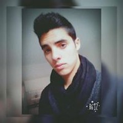 Fausto de Araquistain