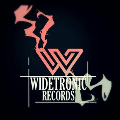 Widetronic Records