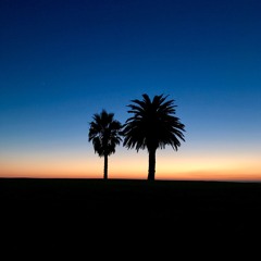 Tristan Ritter-Armour