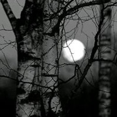 เฉลิมชัย พันธ์มะลี