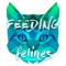 Feeding Felines