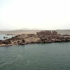 waleed