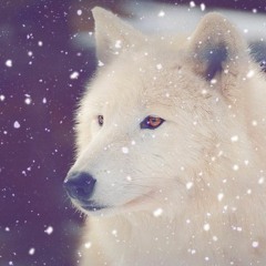 璃花