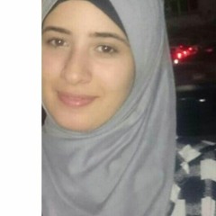 Nourhan M. El-Sherif