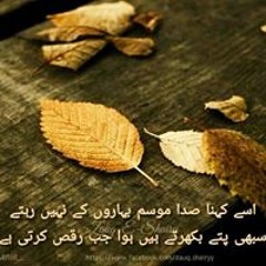Zaib Kayani
