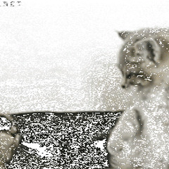 You're still signed in Willy >:)