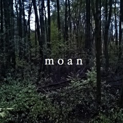 MOAN