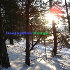DJ HEDGE