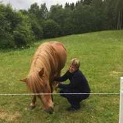 Bjørg Merete Engensbakken