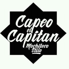 capeo mochiteco stylo