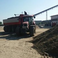 willem
