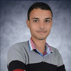 Ahmed Fathi