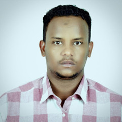 Hassan Ahmed Mohammed