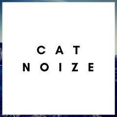 Cat Noize